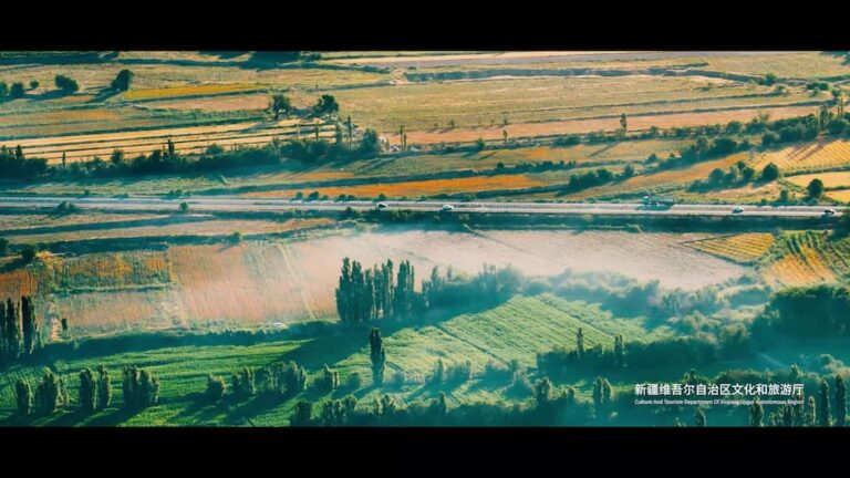 Best Time to Visit Xinjiang Regional Museum