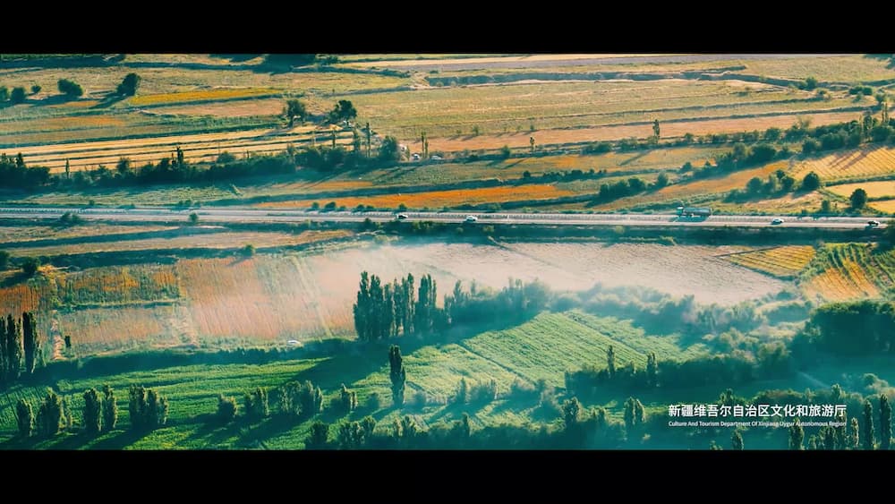 Best Time to Visit Xinjiang Regional Museum