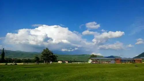 Xinjiang Vegetarian Guide