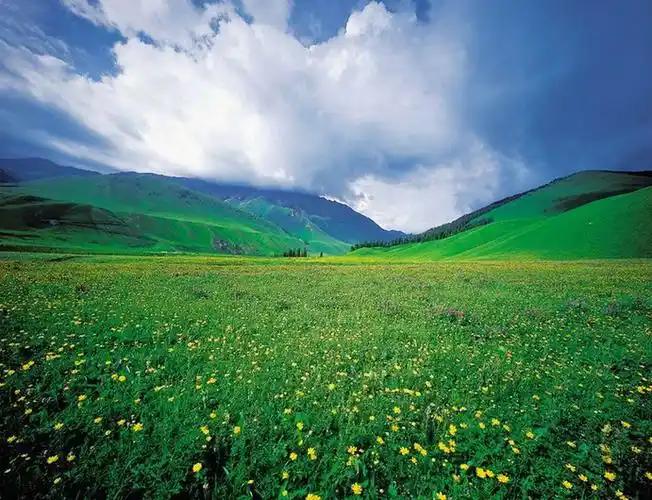 Xinjiang Family Travel Guide