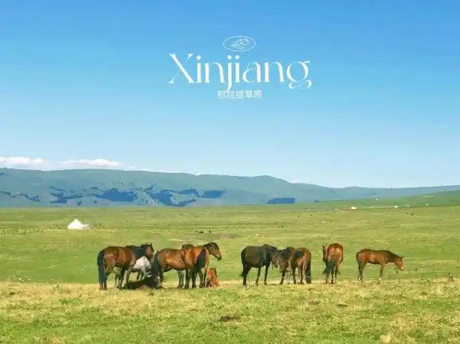 Nalati Grassland Travel Guide scenery