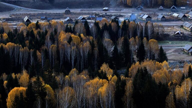 Best Time to Visit Hemu Village