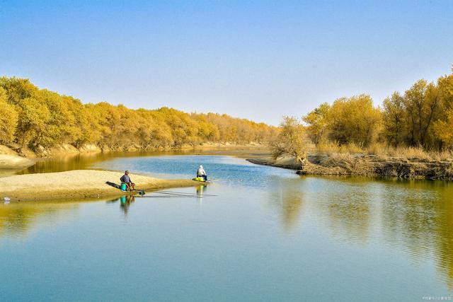 Best Time to Visit Populus Euphratica Forest scenery